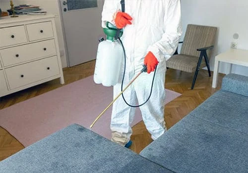 Bed Bug Control