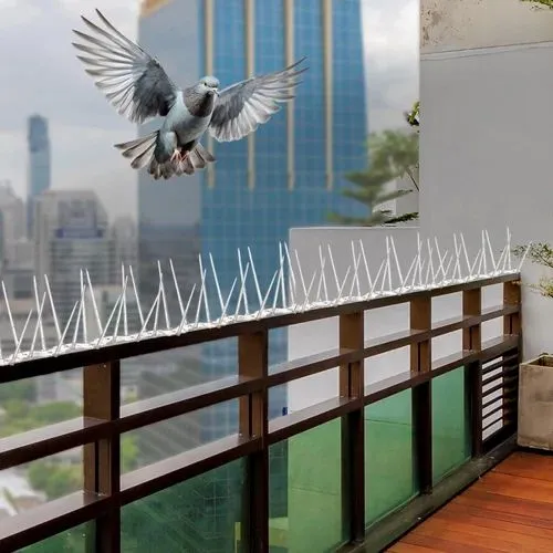 Pigeon & Bird Control